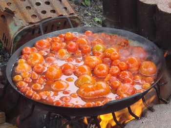 tomato-2.jpg